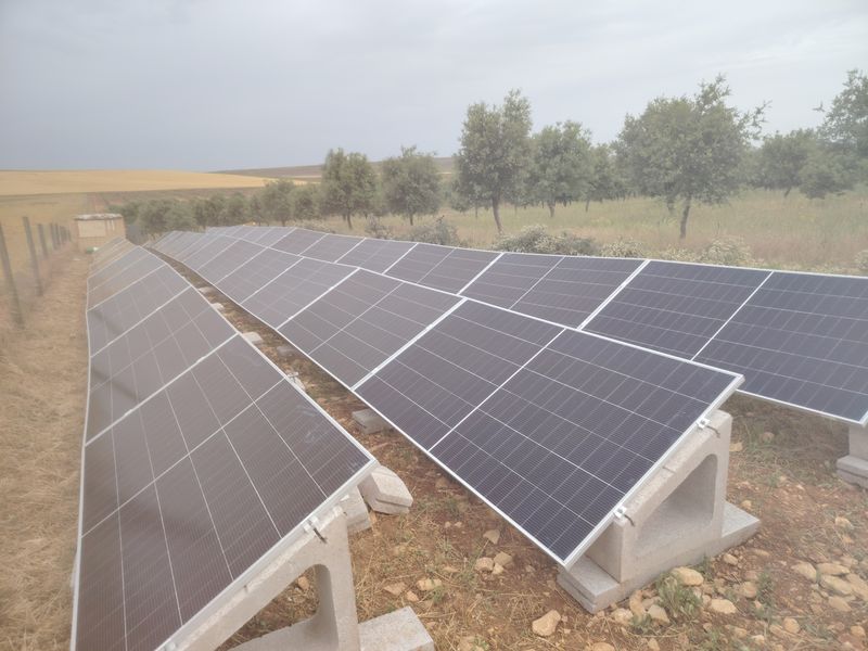 Placas solares sobre suelo en una finca agrícola